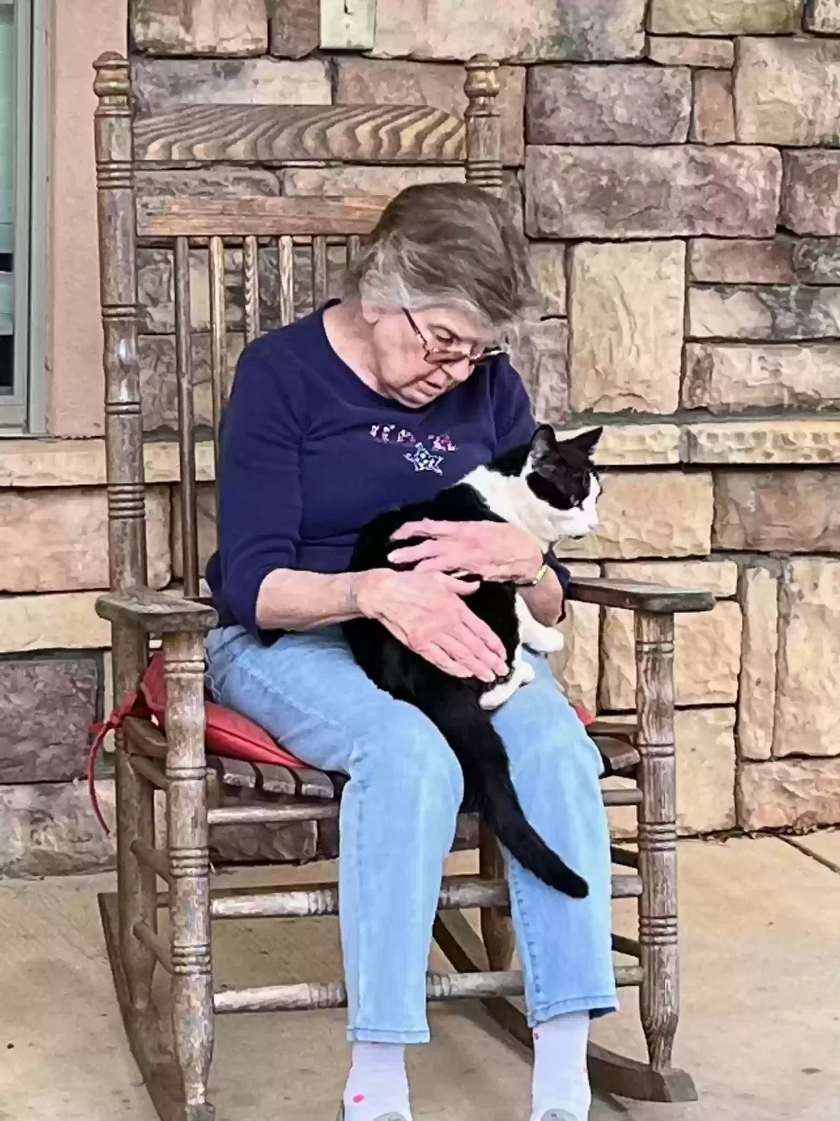 Lost cat in Kennesaw, GA, 30152