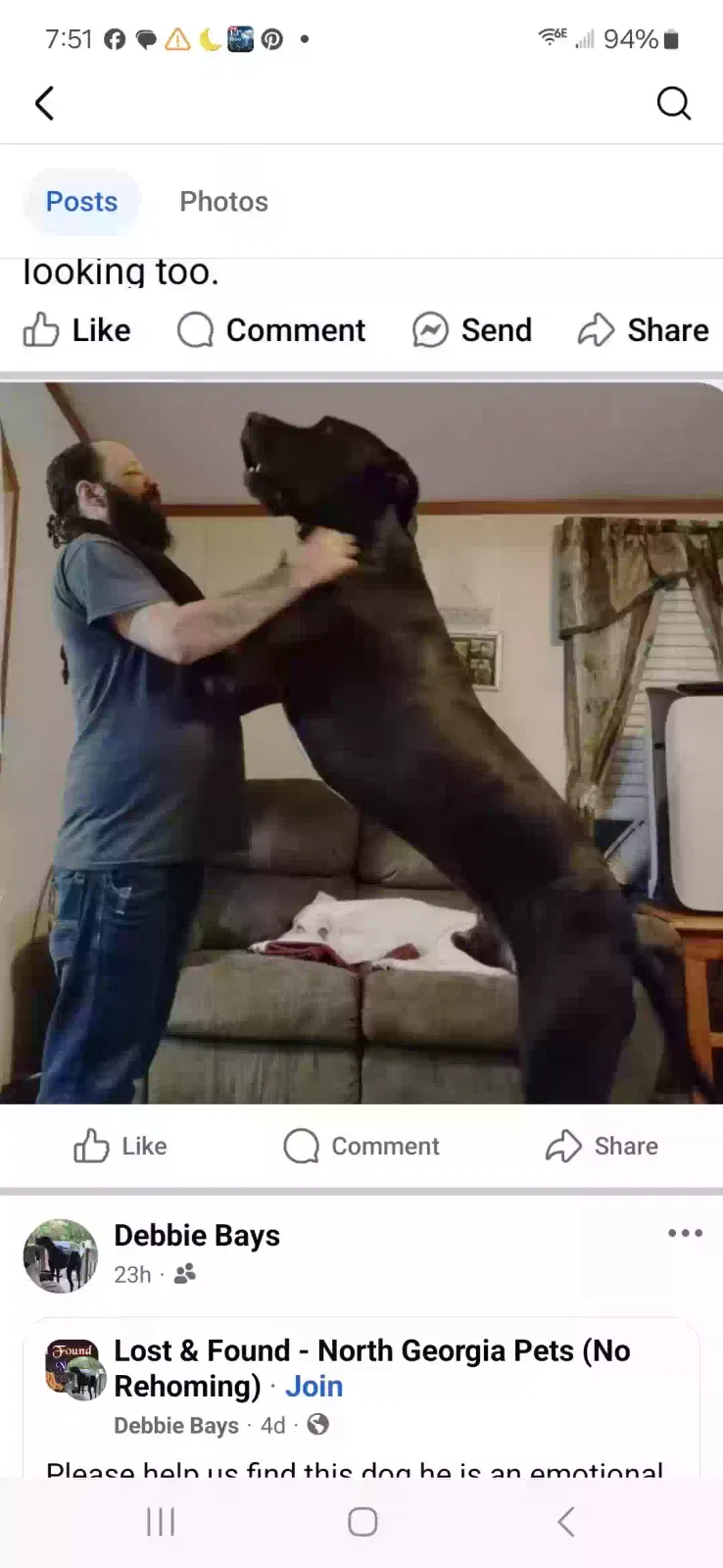 Lost dog in Fairmount, GA, 30139