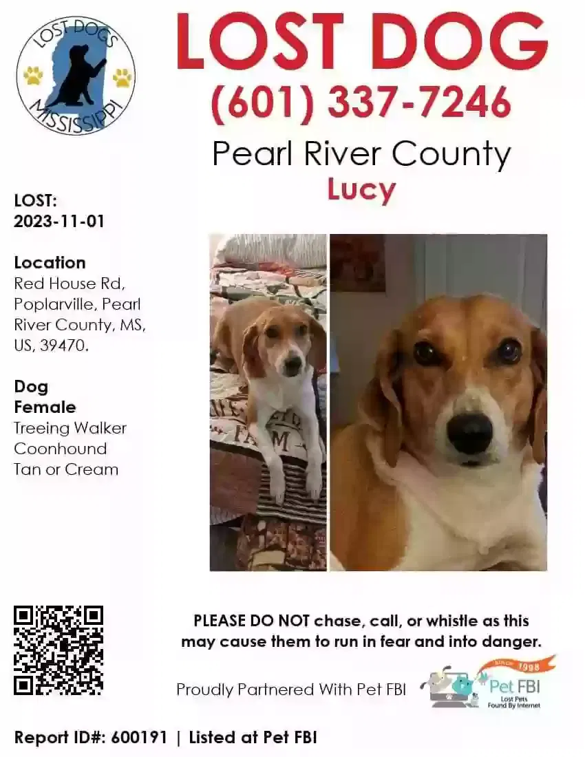 Lost dog in Poplarville, MS, 39470