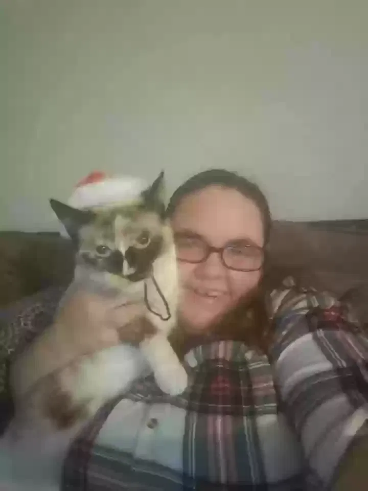 Lost cat in Katy, TX, 77449
