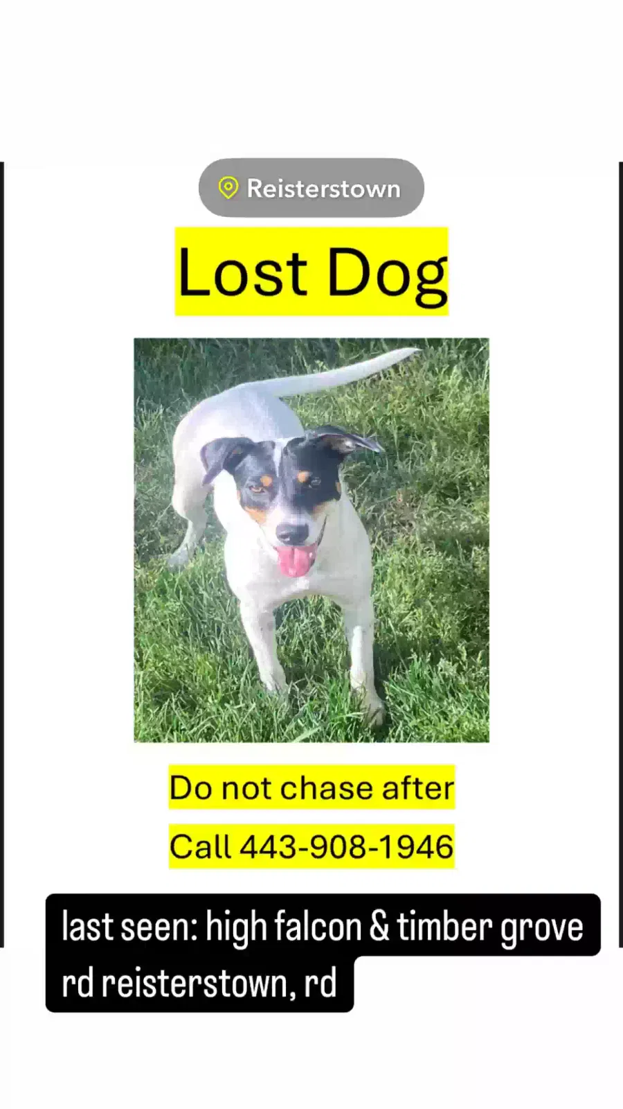 Lost dog in Reisterstown, MD, 21136