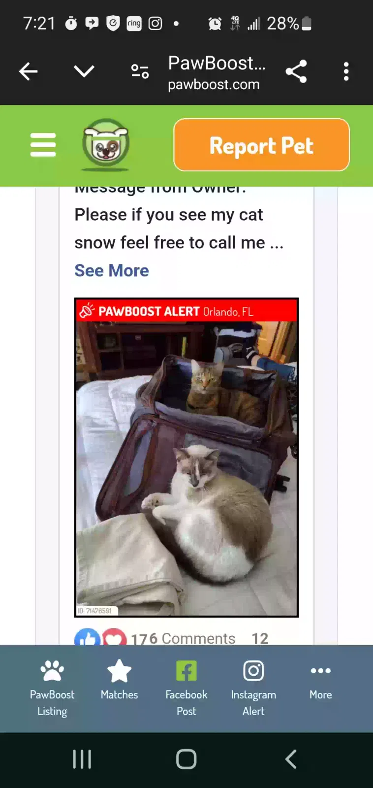 Lost cat in Orlando, FL, 32806
