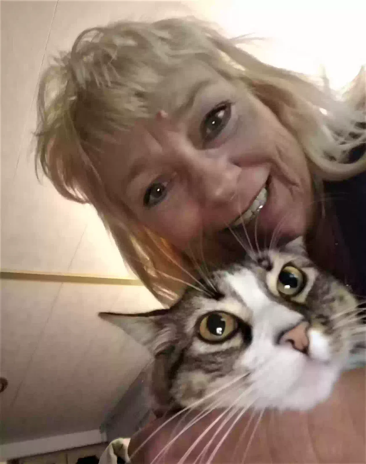 Lost cat in Las Vegas, NV, 89123