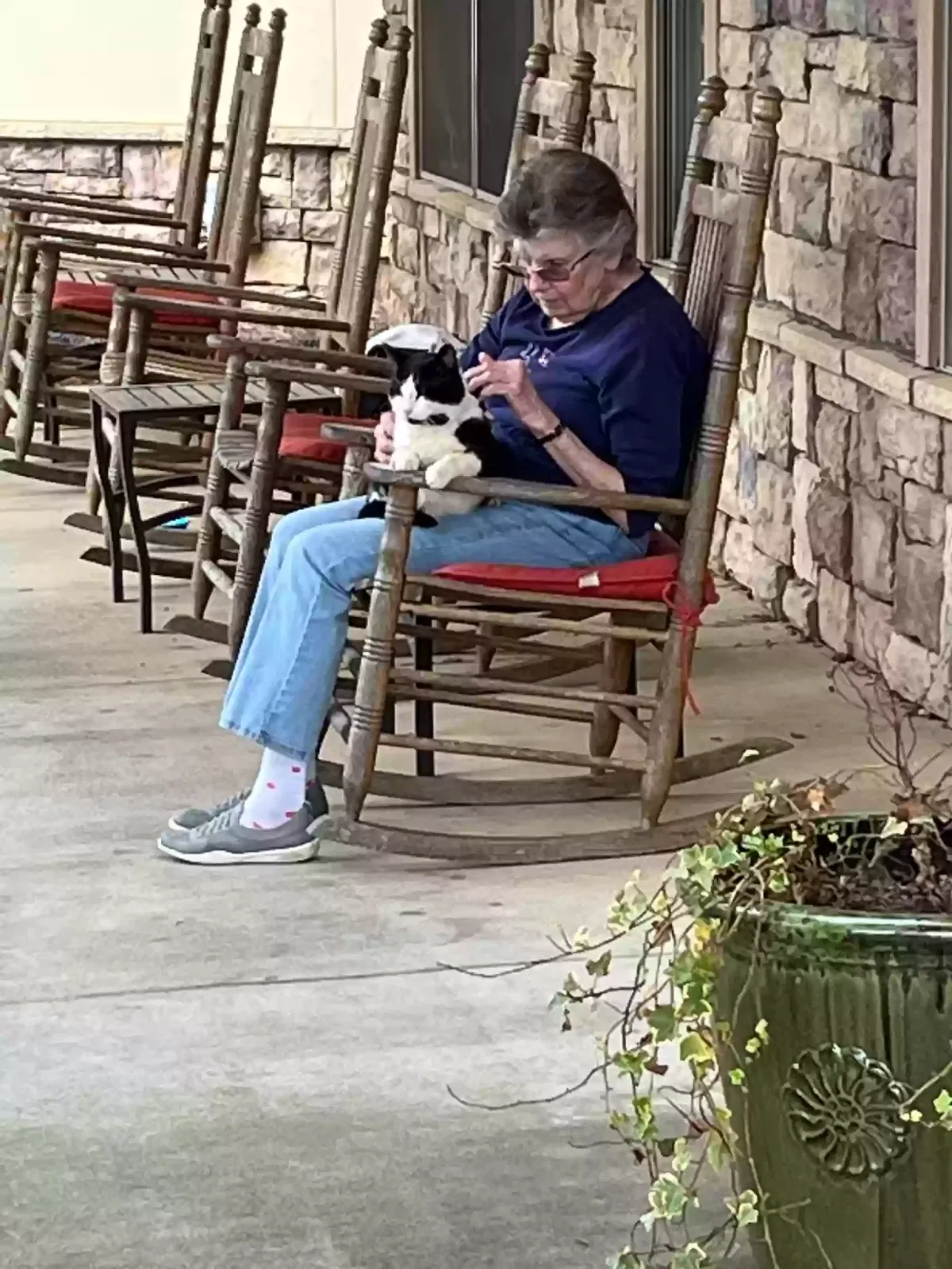 Lost cat in Kennesaw, GA, 30152