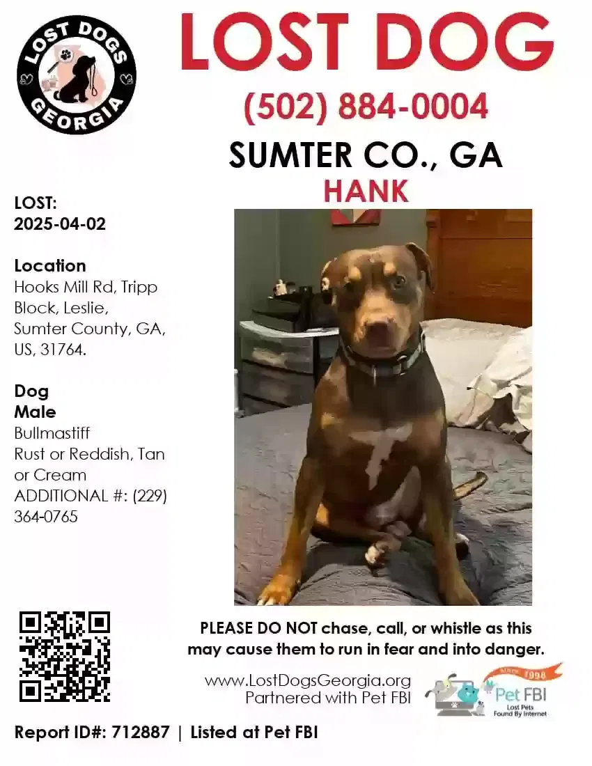 Lost dog in Leslie, GA, 31764