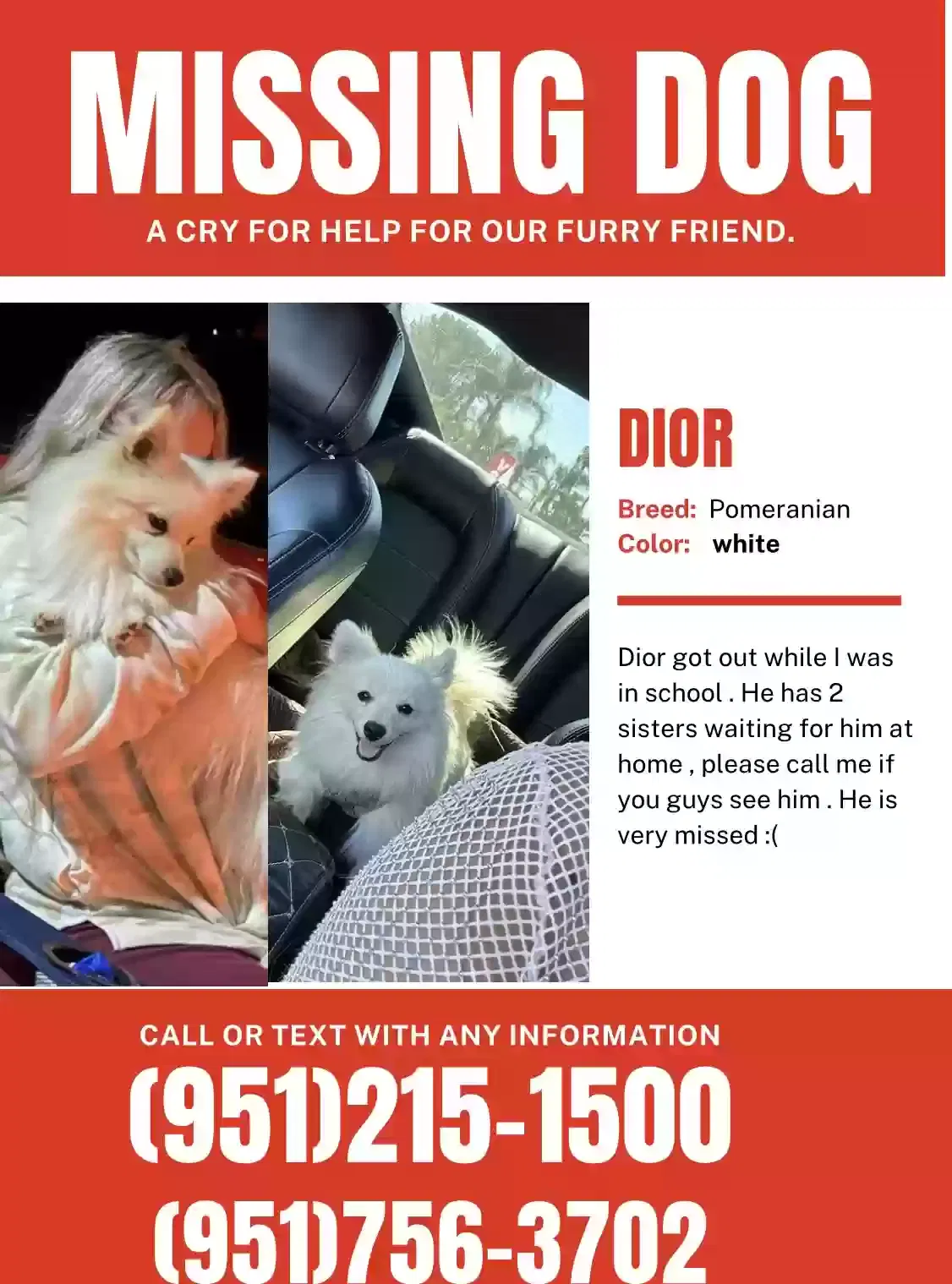 Lost dog in Lakeside, CA, 92040
