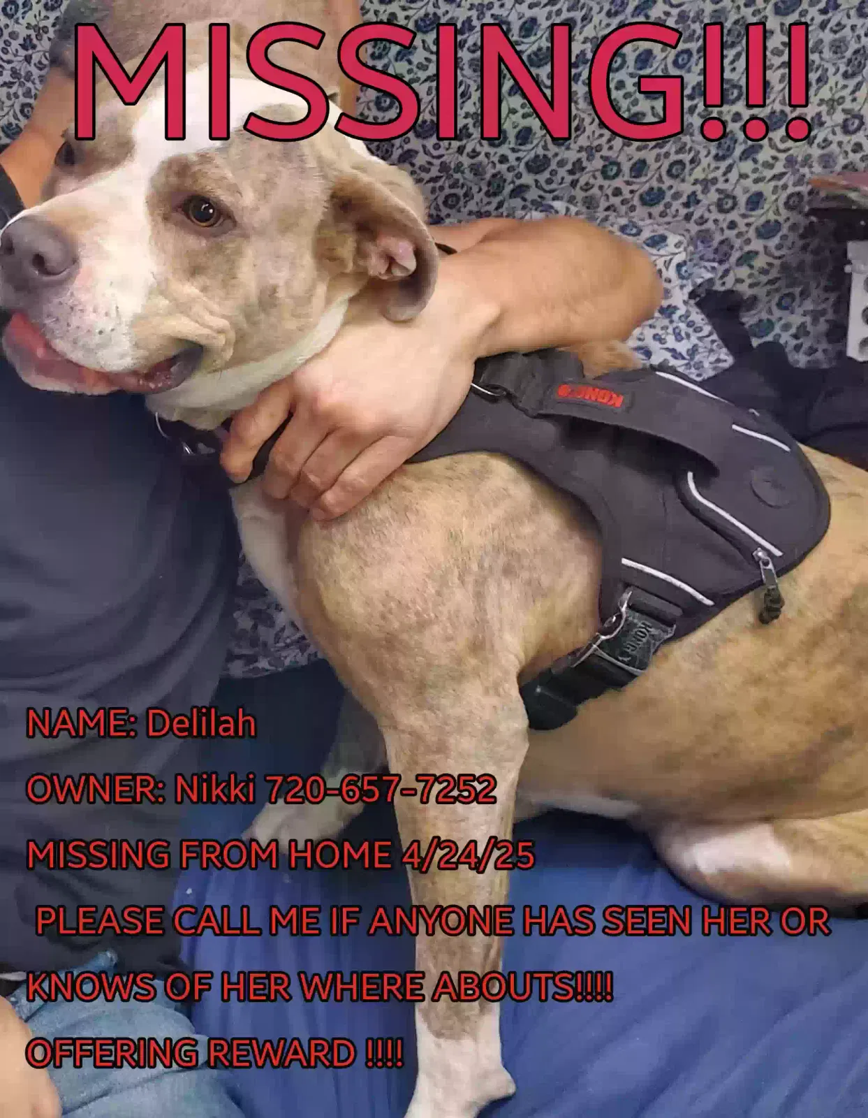 Lost dog in Commerce City, CO, 80022