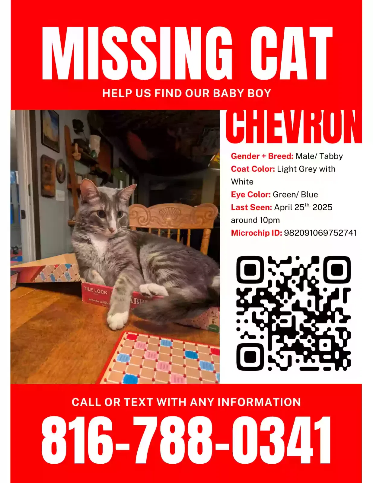 Lost cat in Kansas City, MO, 64163