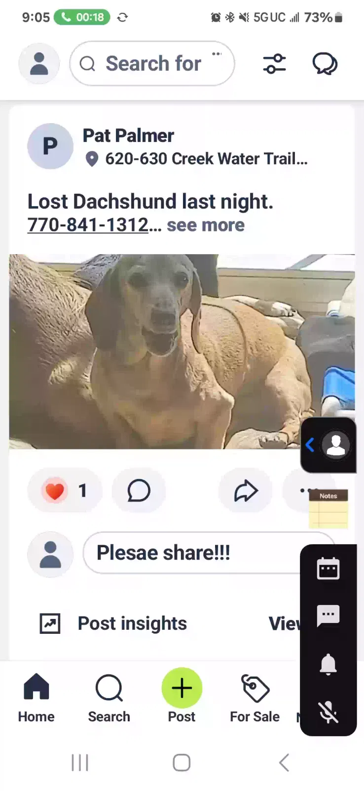 Lost dog in Marietta, GA, 30060