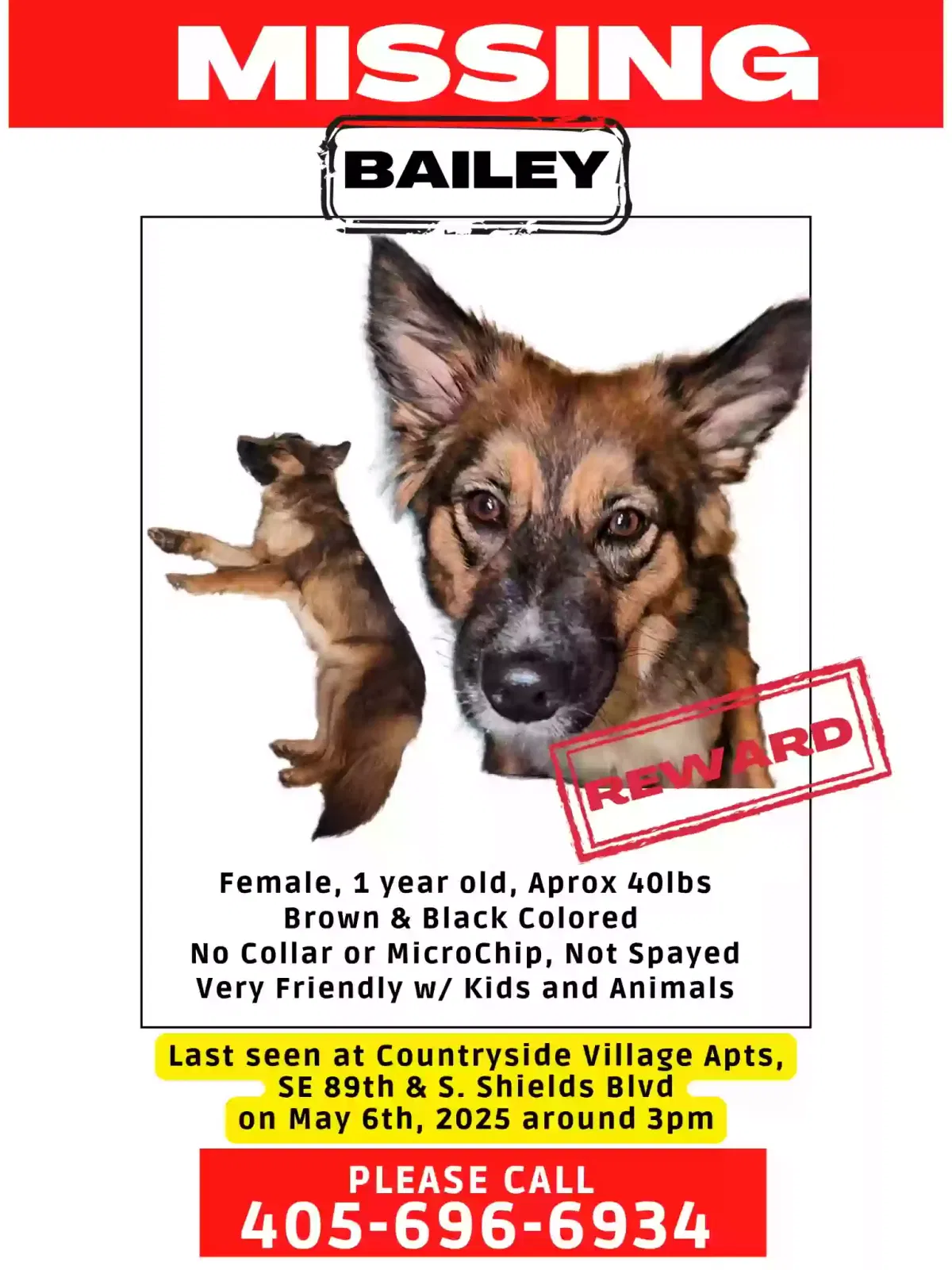 Lost dog in Oklahoma City, OK, 73160