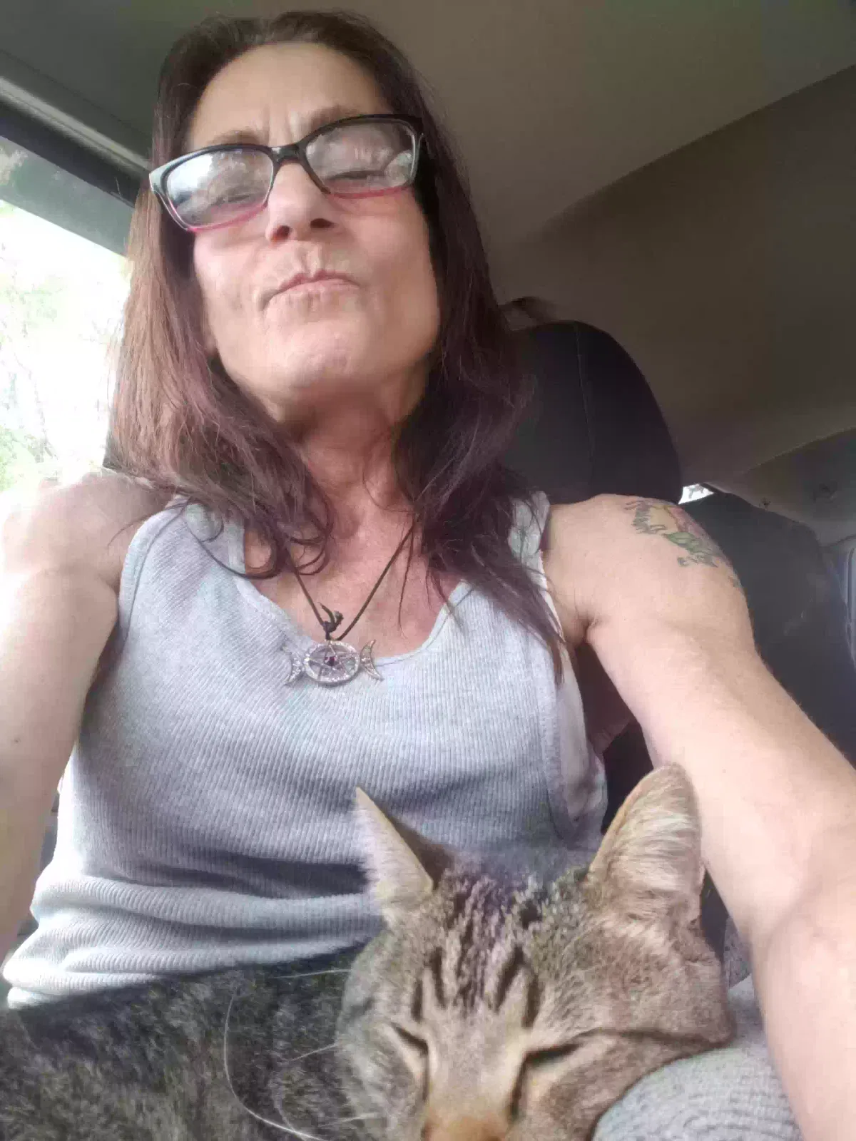 Lost cat in Farmington, MI, 48336