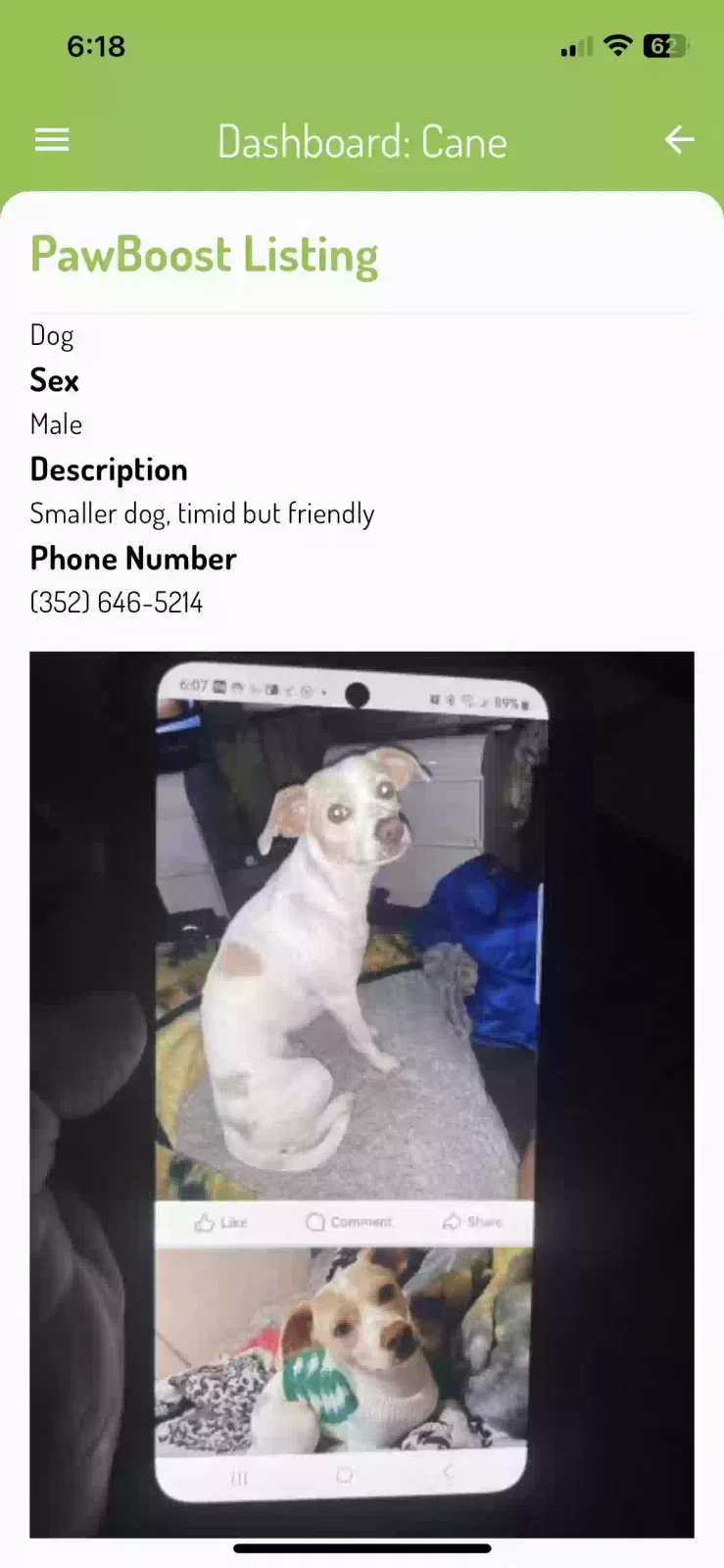 Lost dog in Florahome, FL, 32140