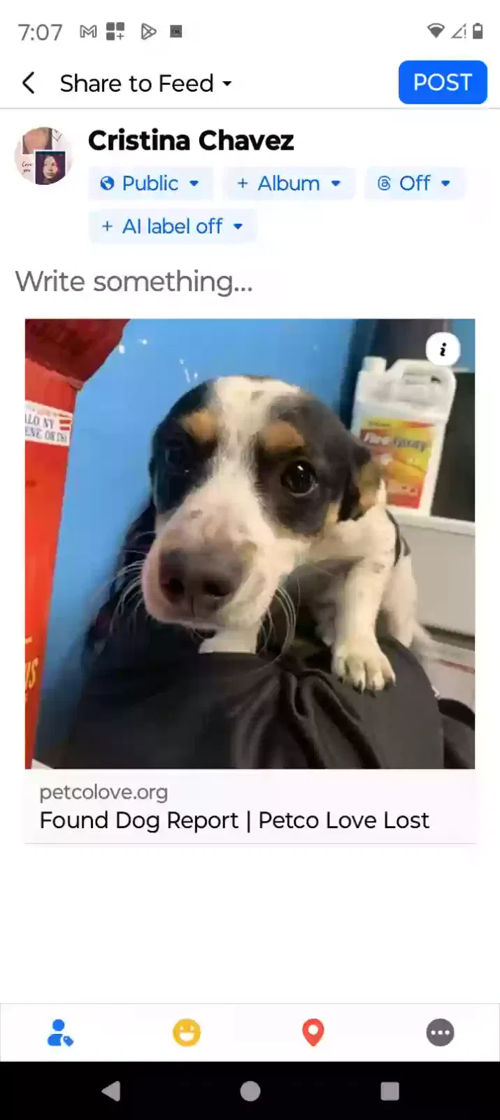 Lost dog in Albuquerque, NM, 87105