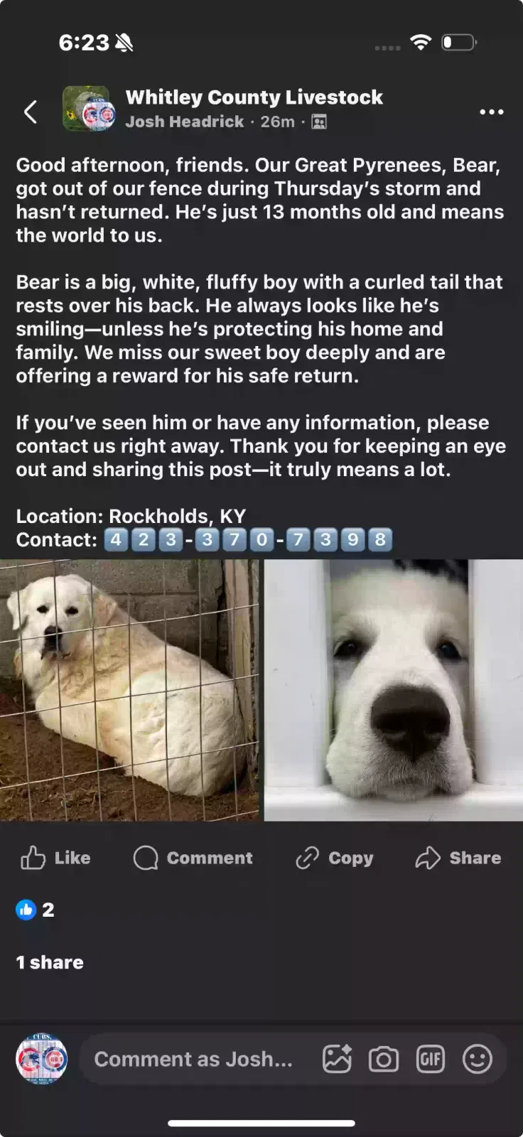 Lost dog in Rockholds, KY, 40759