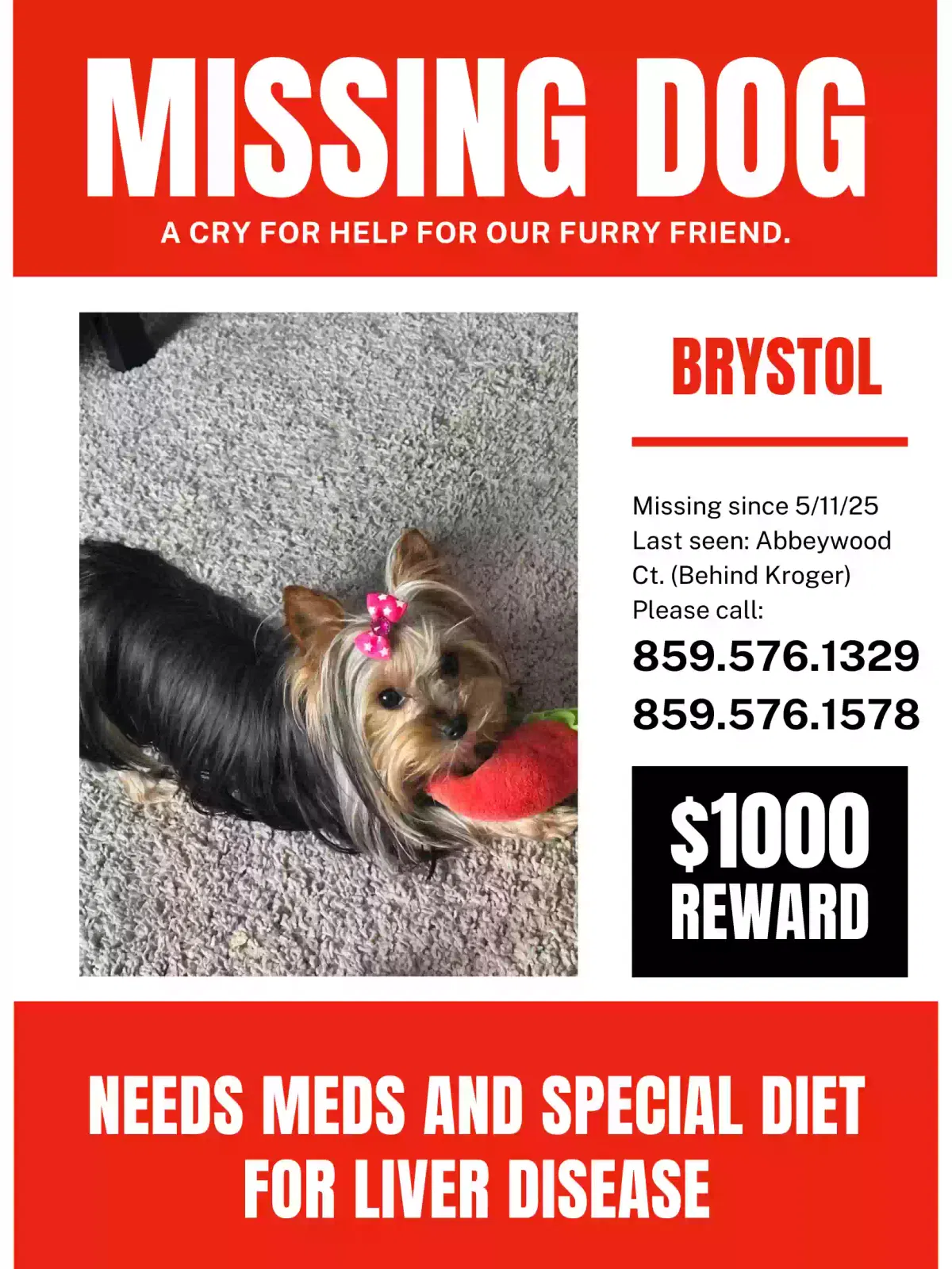 Lost dog in Winchester, KY, 40391