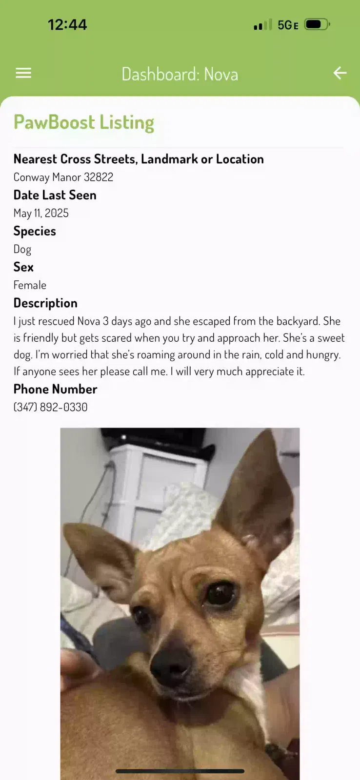 Lost dog in Orlando, FL, 32822