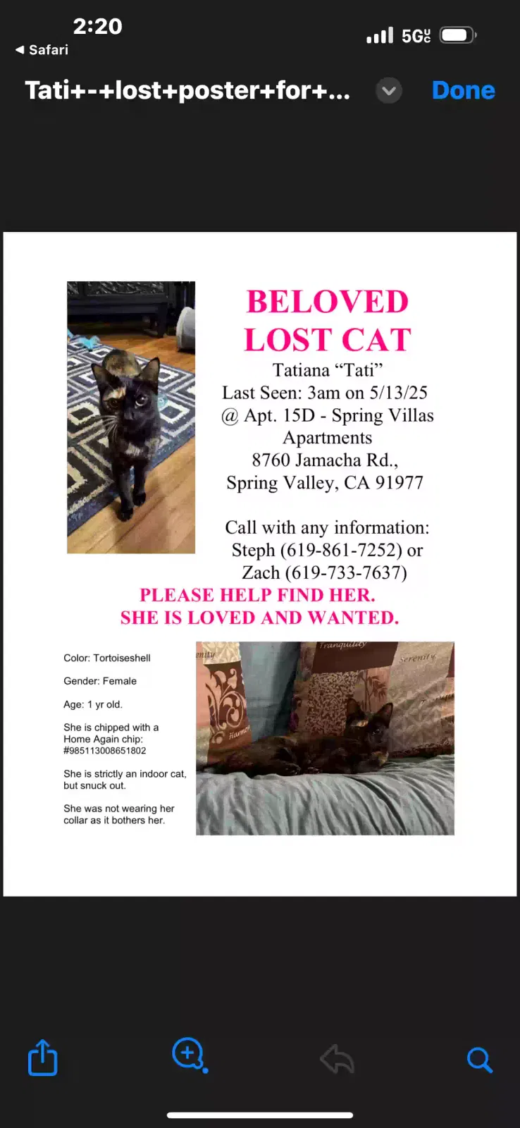 Lost cat in Spring Valley, CA, 91977