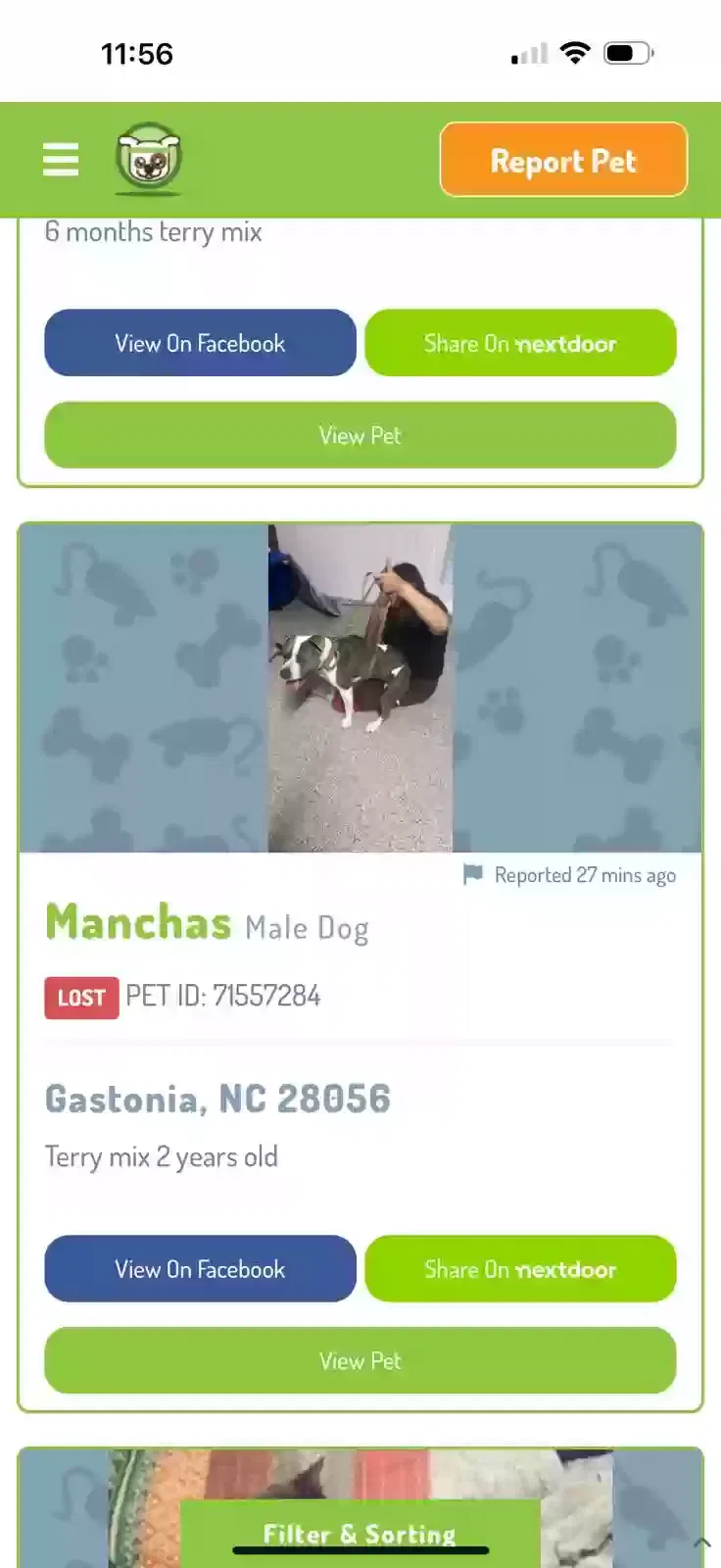 Lost dog in Gastonia, NC, 28056