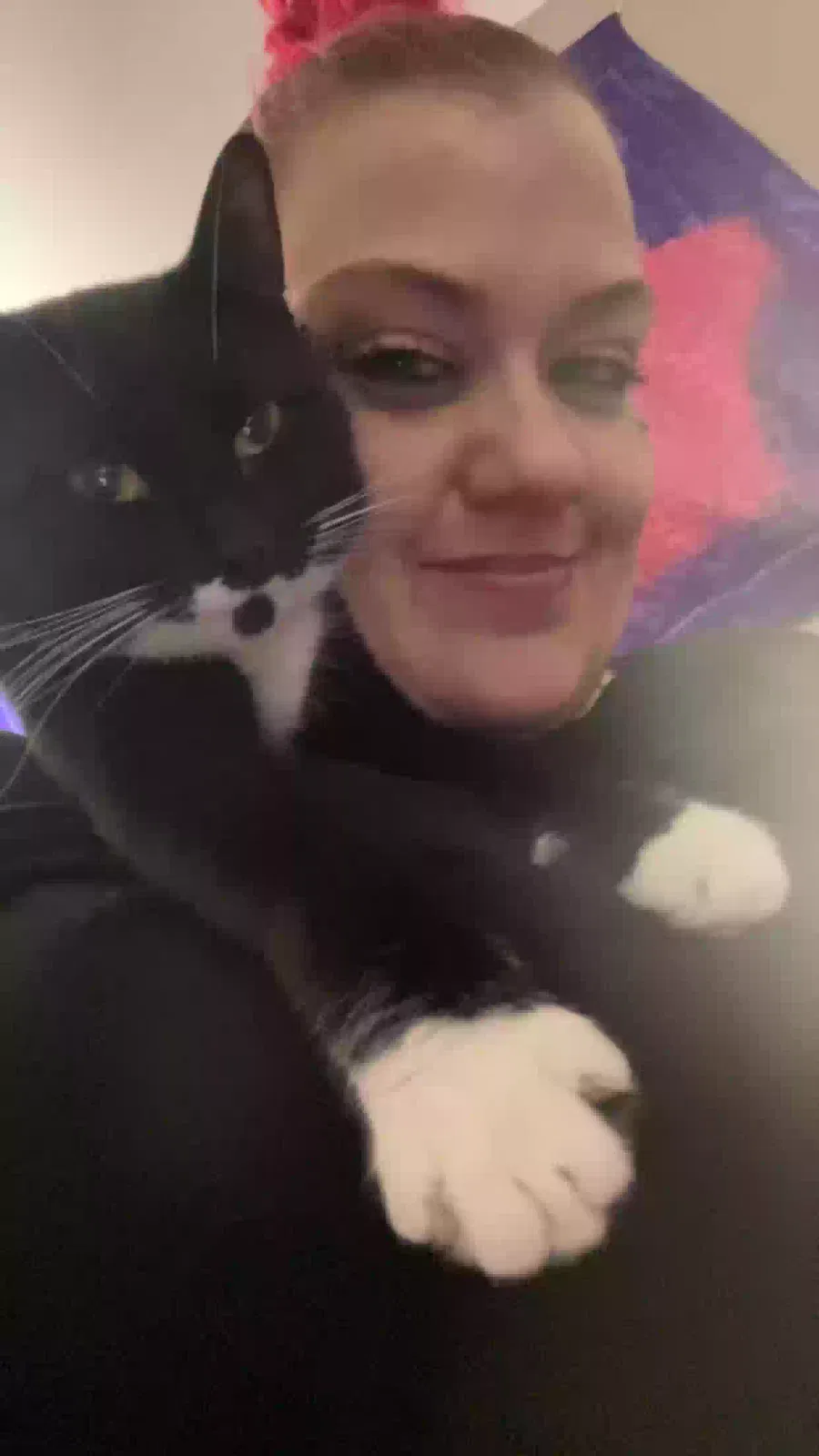 Lost cat in Dayton, OH, 45414