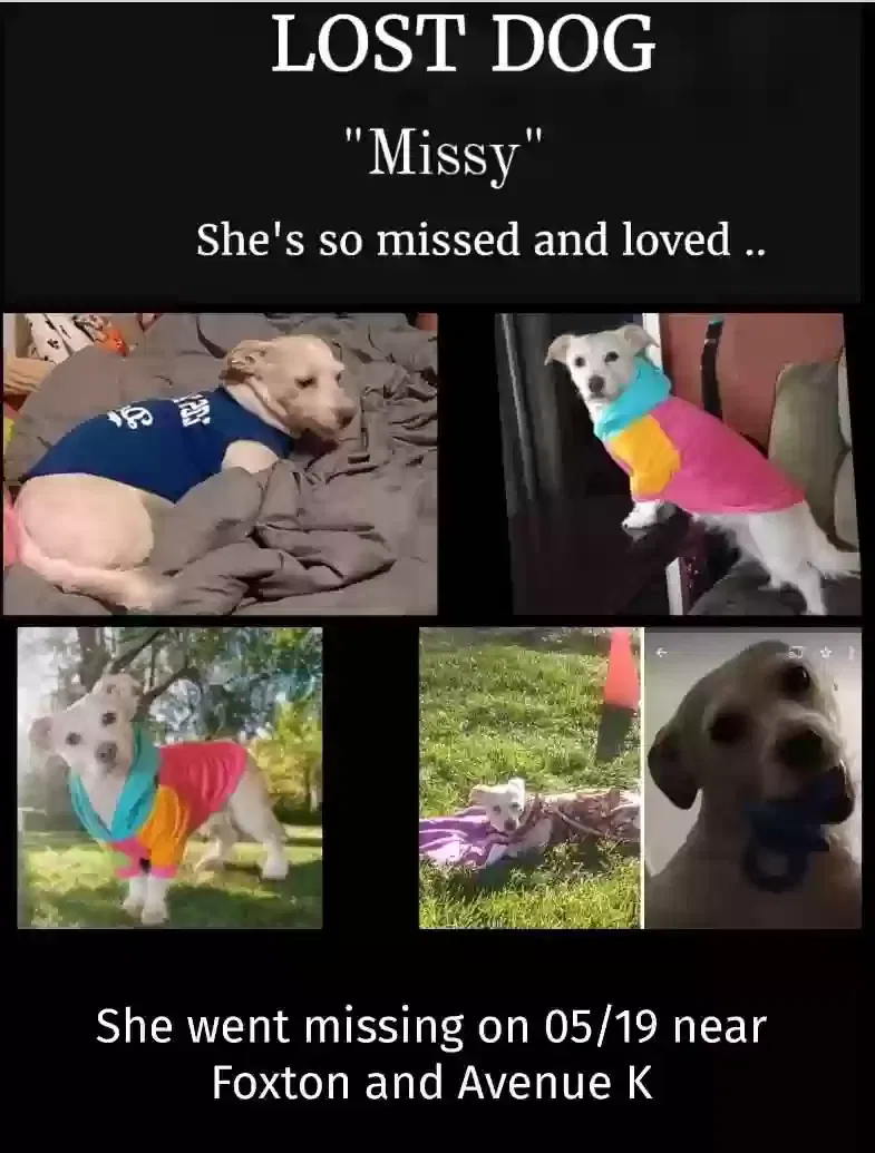 Lost dog in Lancaster, CA, 93535