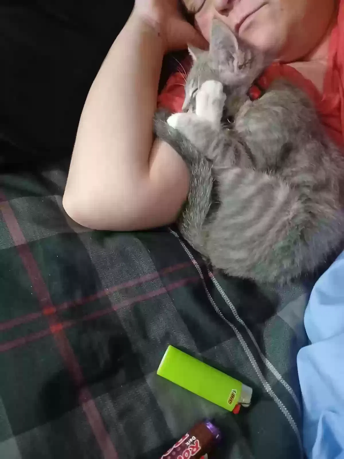 Lost cat in Rome, GA, 30161