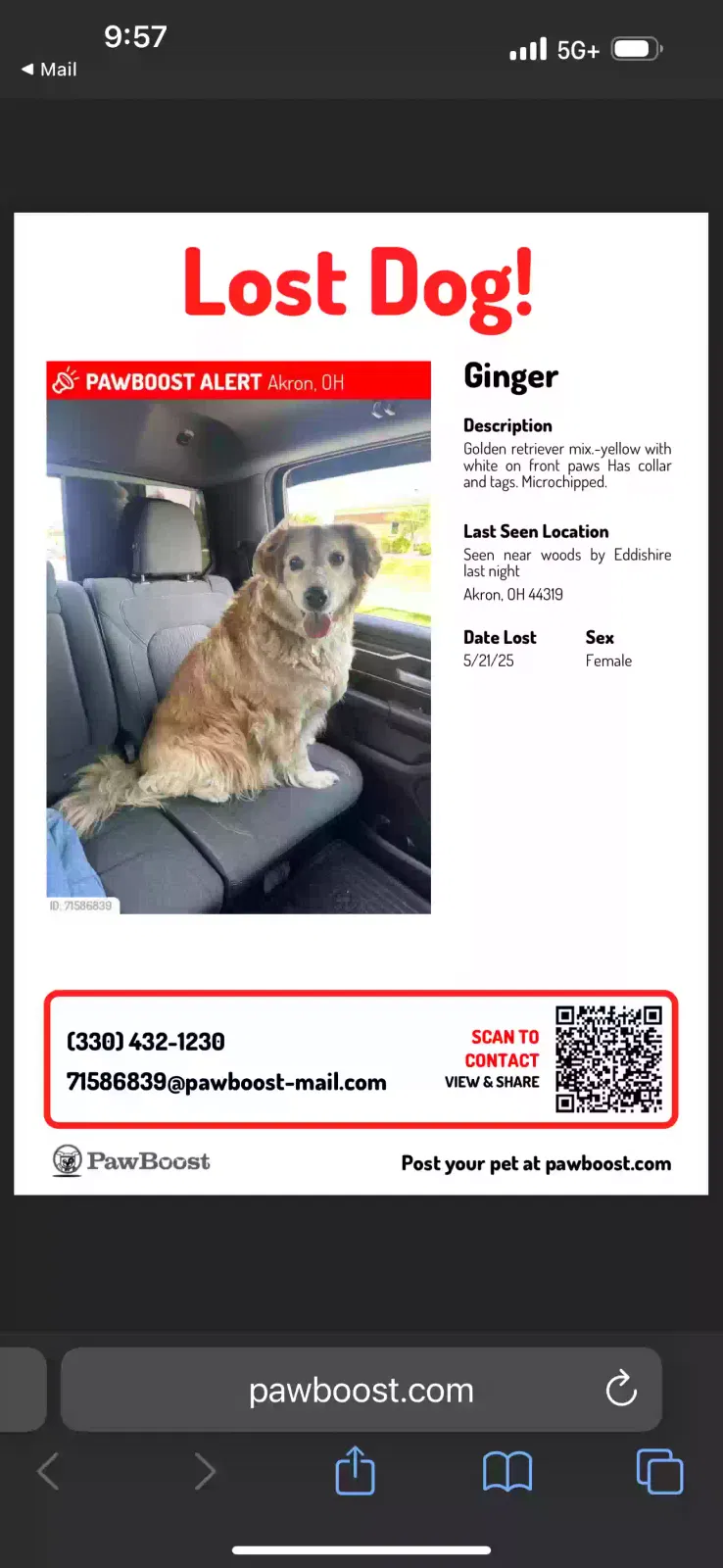 Lost dog in Akron, OH, 44319