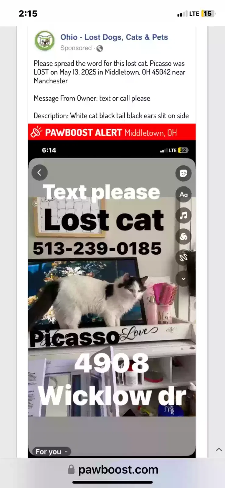 Lost cat in Middletown, OH, 45042