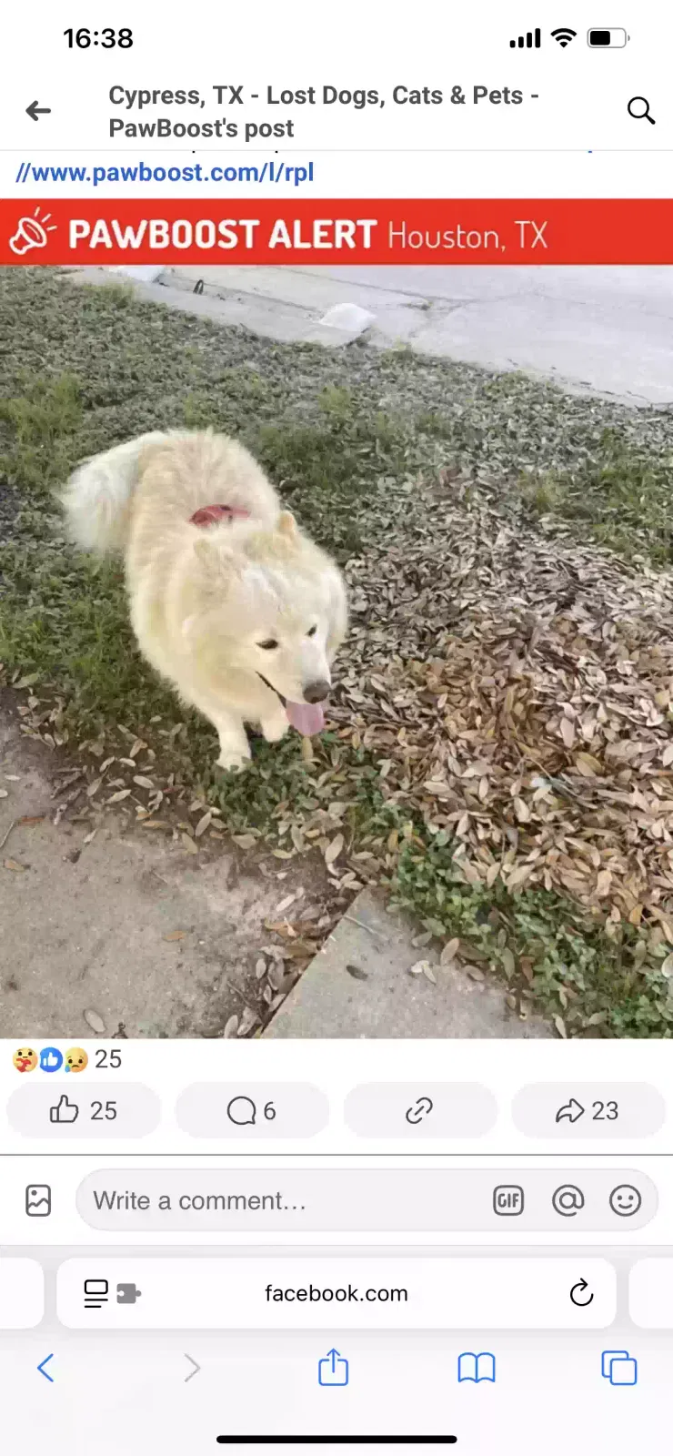 Lost dog in Houston, TX, 77095