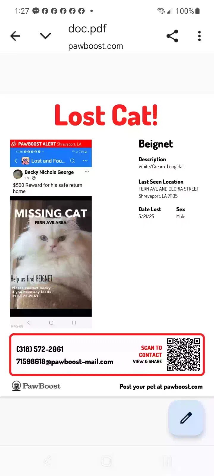 Lost cat in Shreveport, LA, 71105