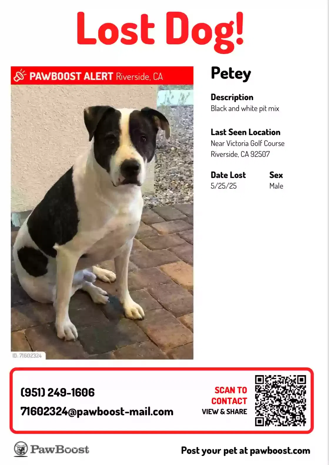Lost dog in Riverside, CA, 92507