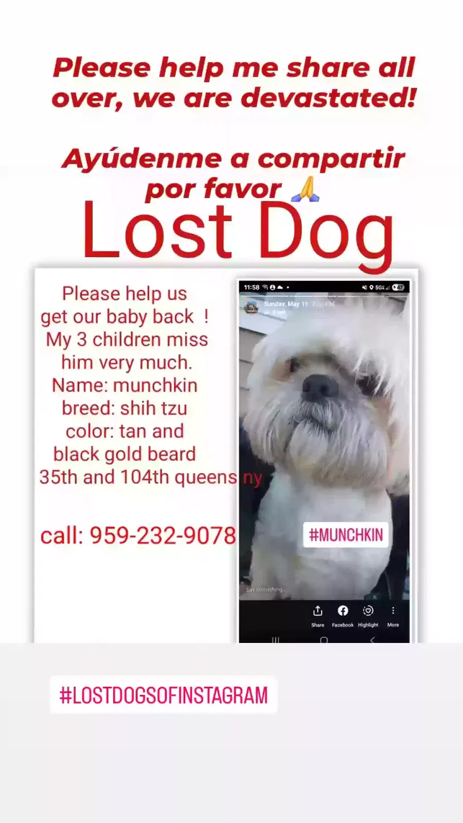 Lost dog in Corona, NY, 11368