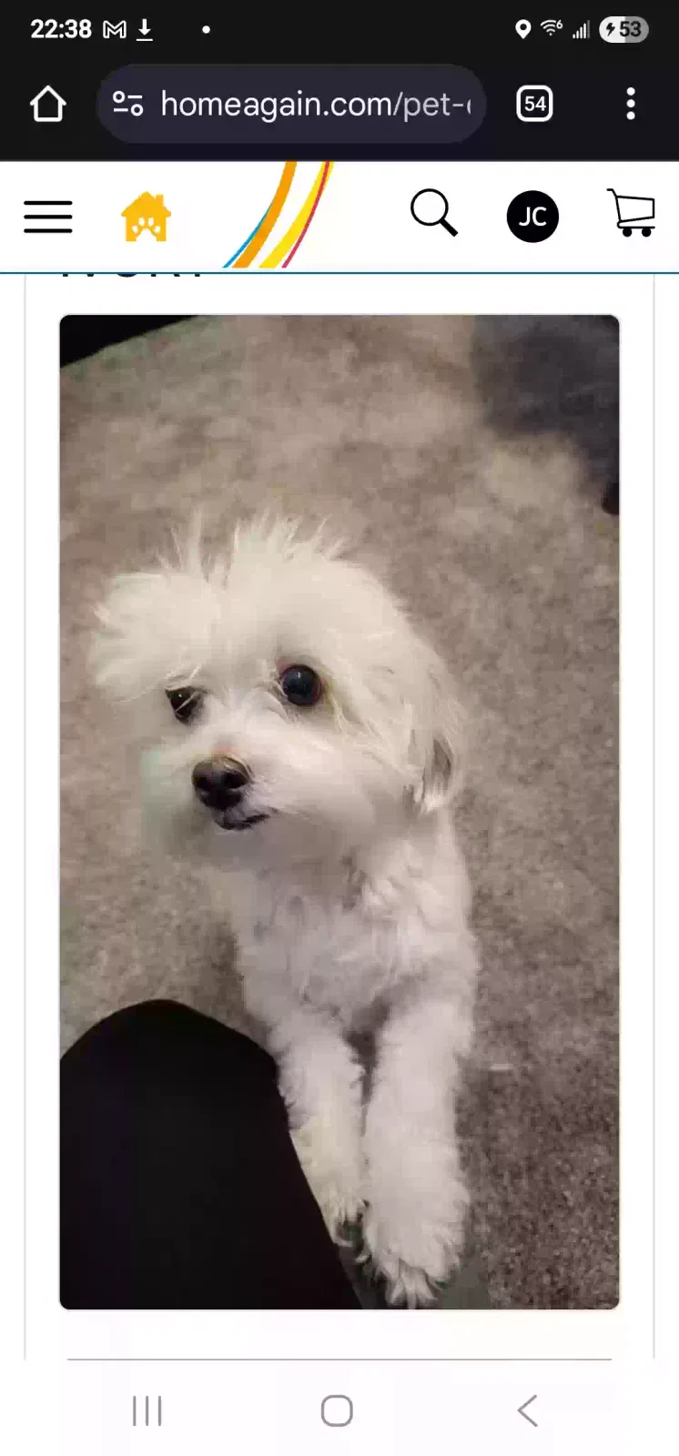 Lost dog in Las Vegas, NV, 89108
