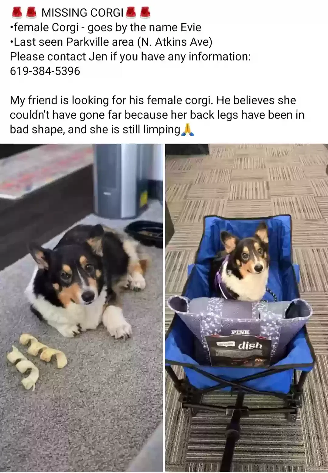 Lost dog in Kansas City, MO, 64152
