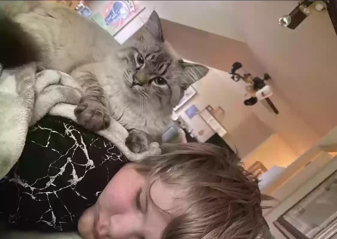 Lost cat in Chattanooga, TN, 37421