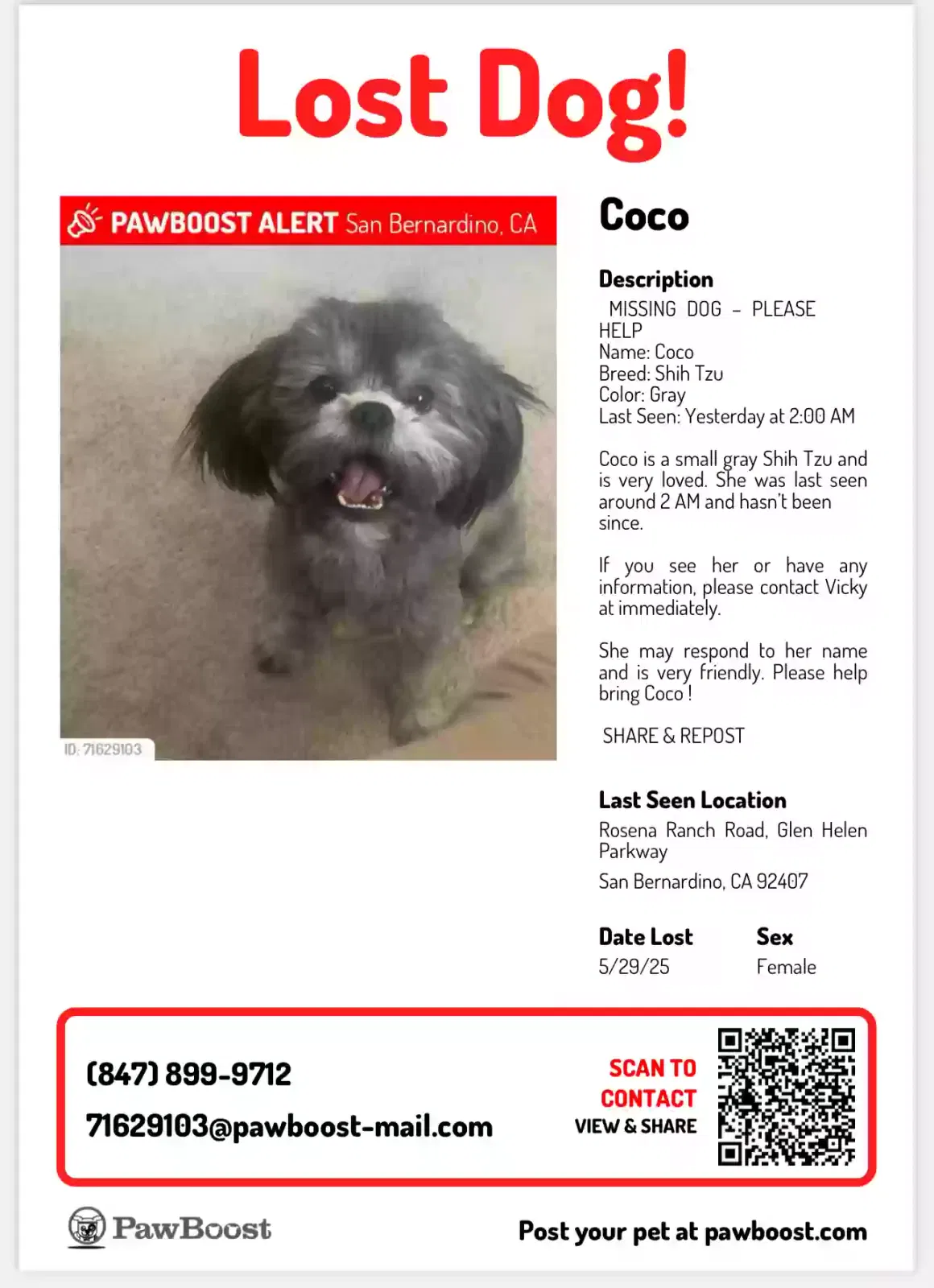 Lost dog in San Bernardino, CA, 92407