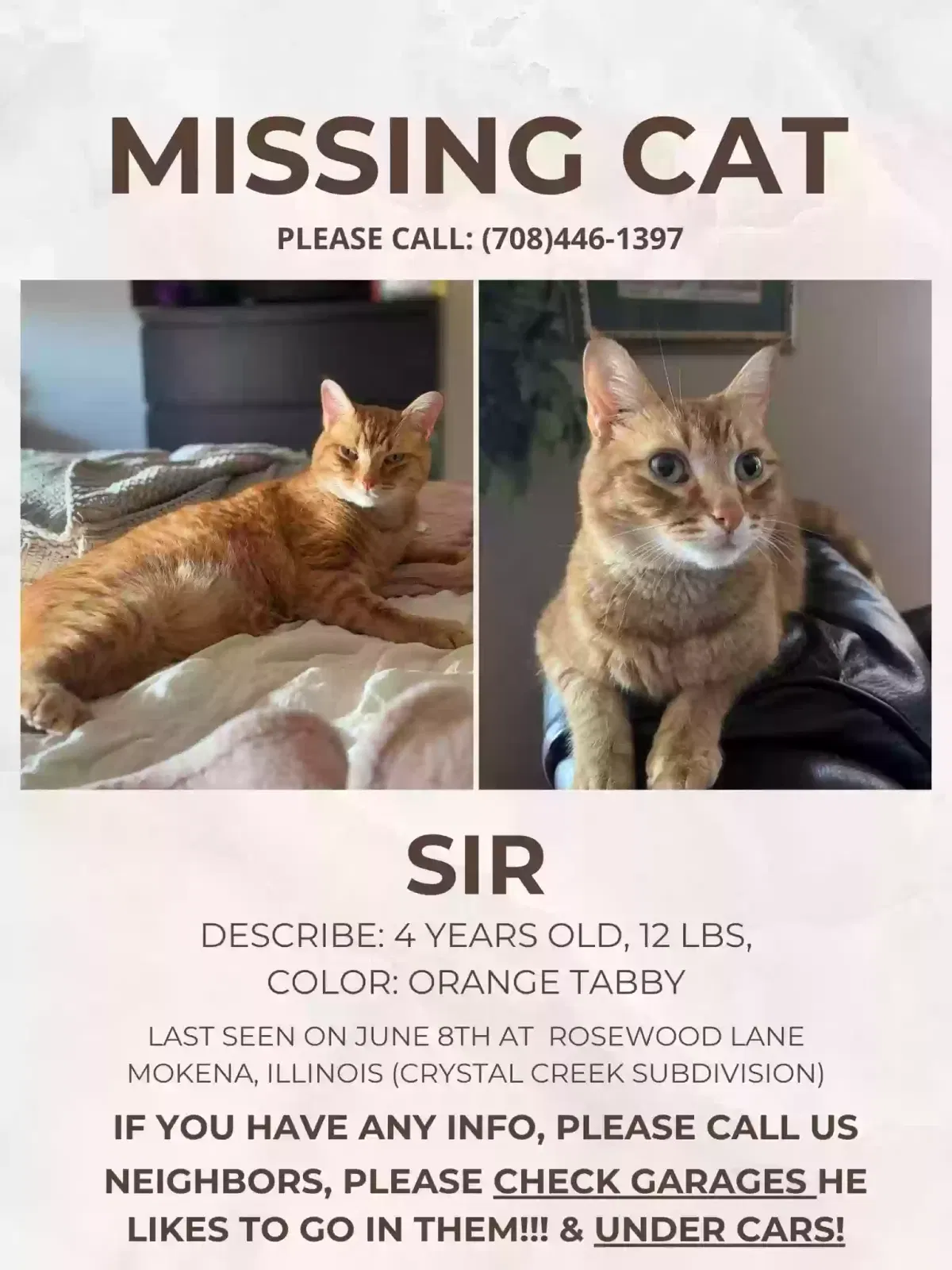 Lost cat in Mokena, IL, 60448