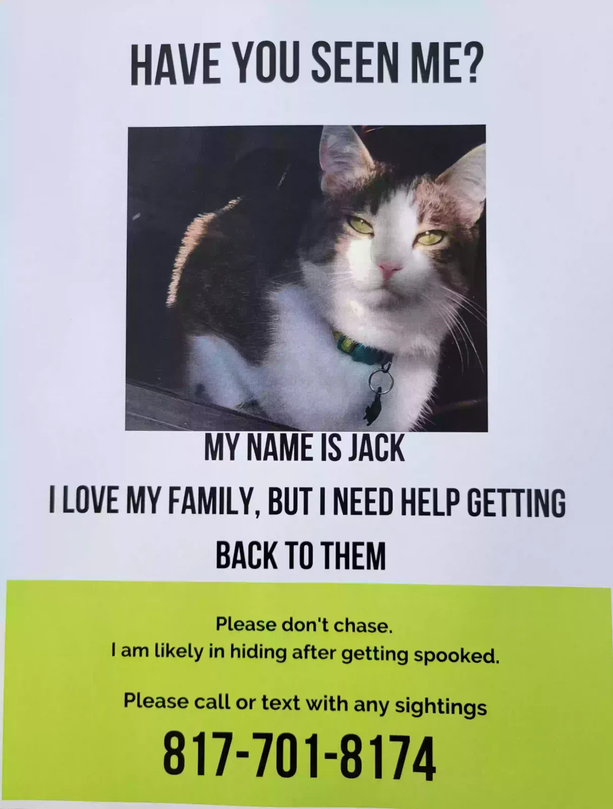 Lost cat in North Little Rock, AR, 72116