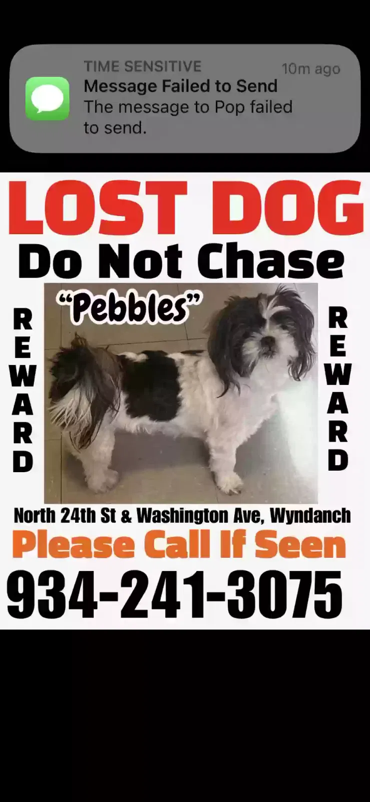 Lost dog in Wyandanch, NY, 11798