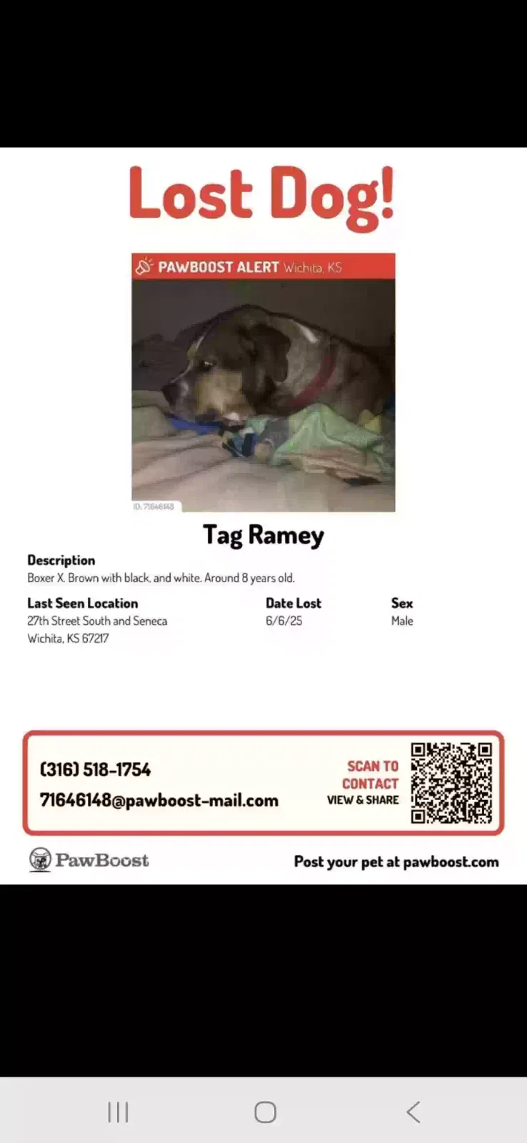 Lost dog in Wichita, KS, 67217