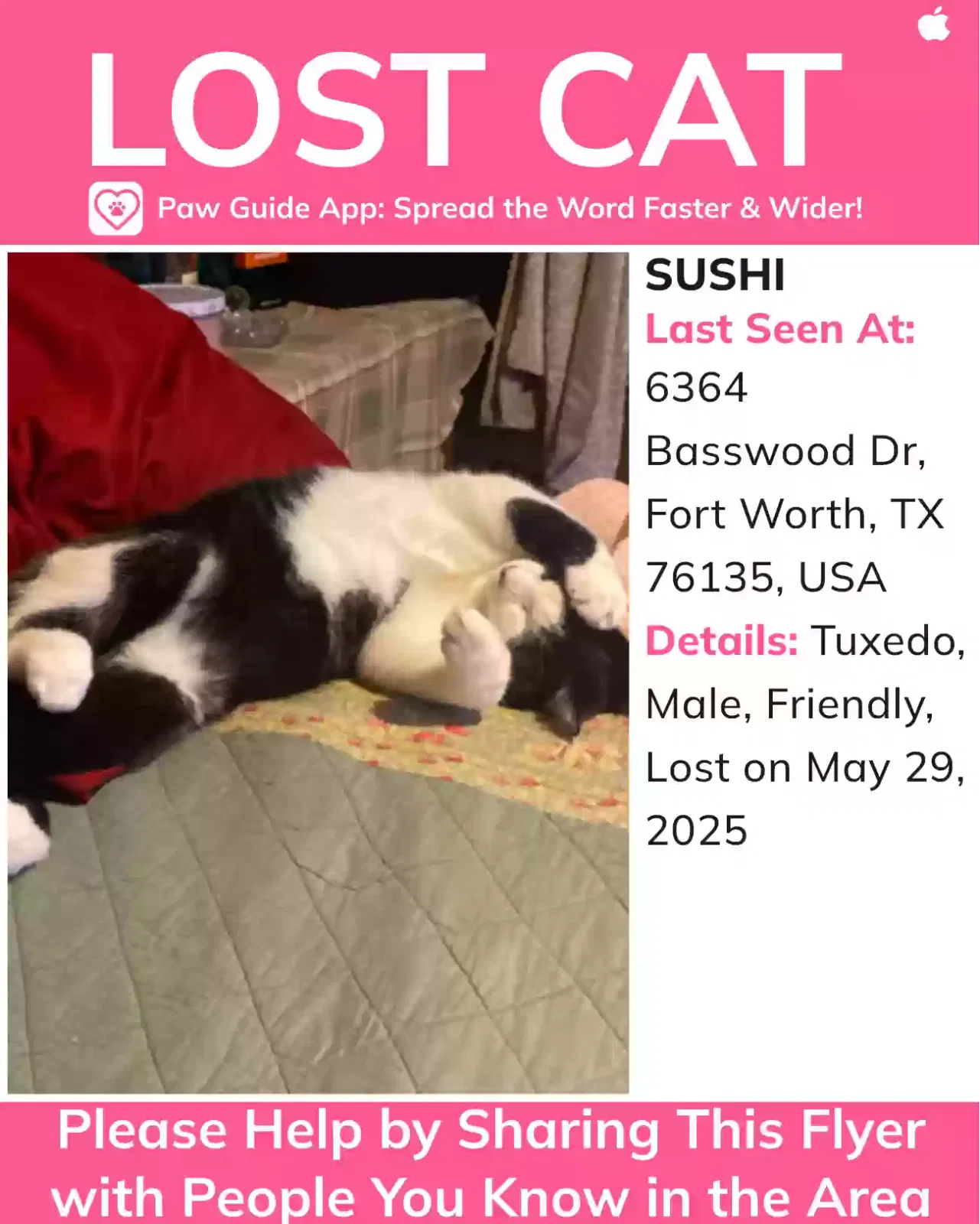 Lost cat in Fort Worth, TX, 76135
