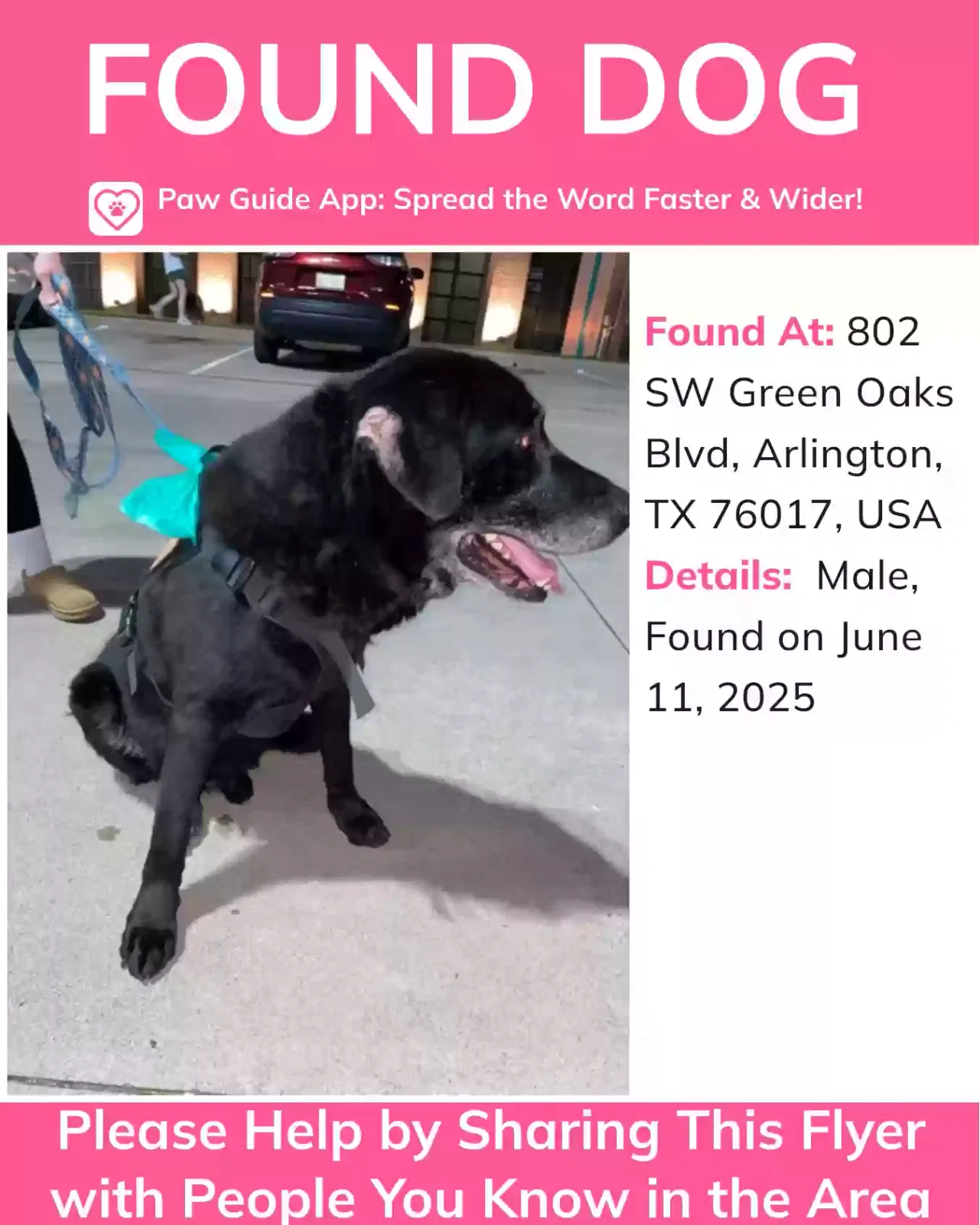 Found dog in Arlington, TX, 76017