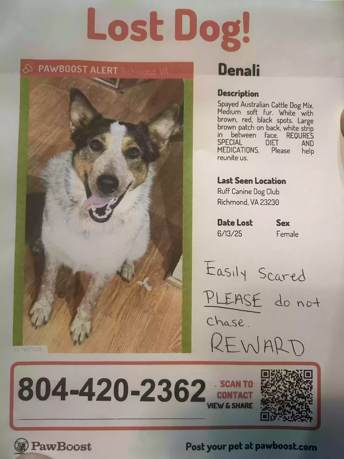 Lost dog in Richmond, VA, 23230