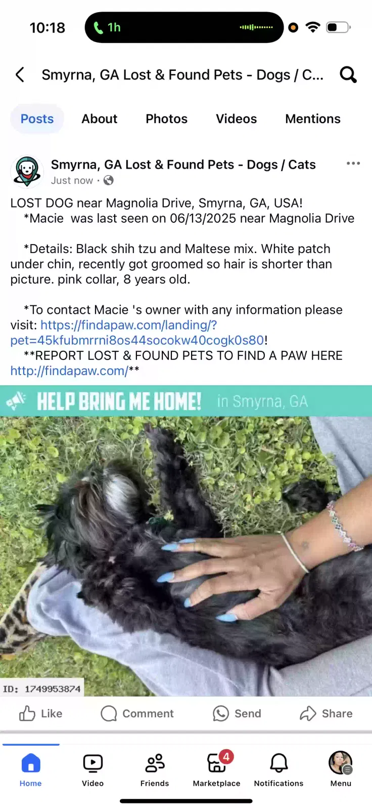 Lost dog in Smyrna, GA, 30082