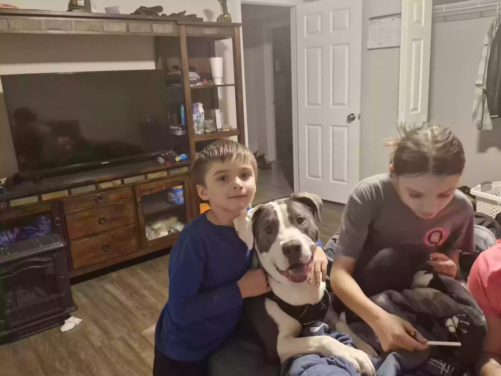 Lost dog in Newborn, GA, 30056