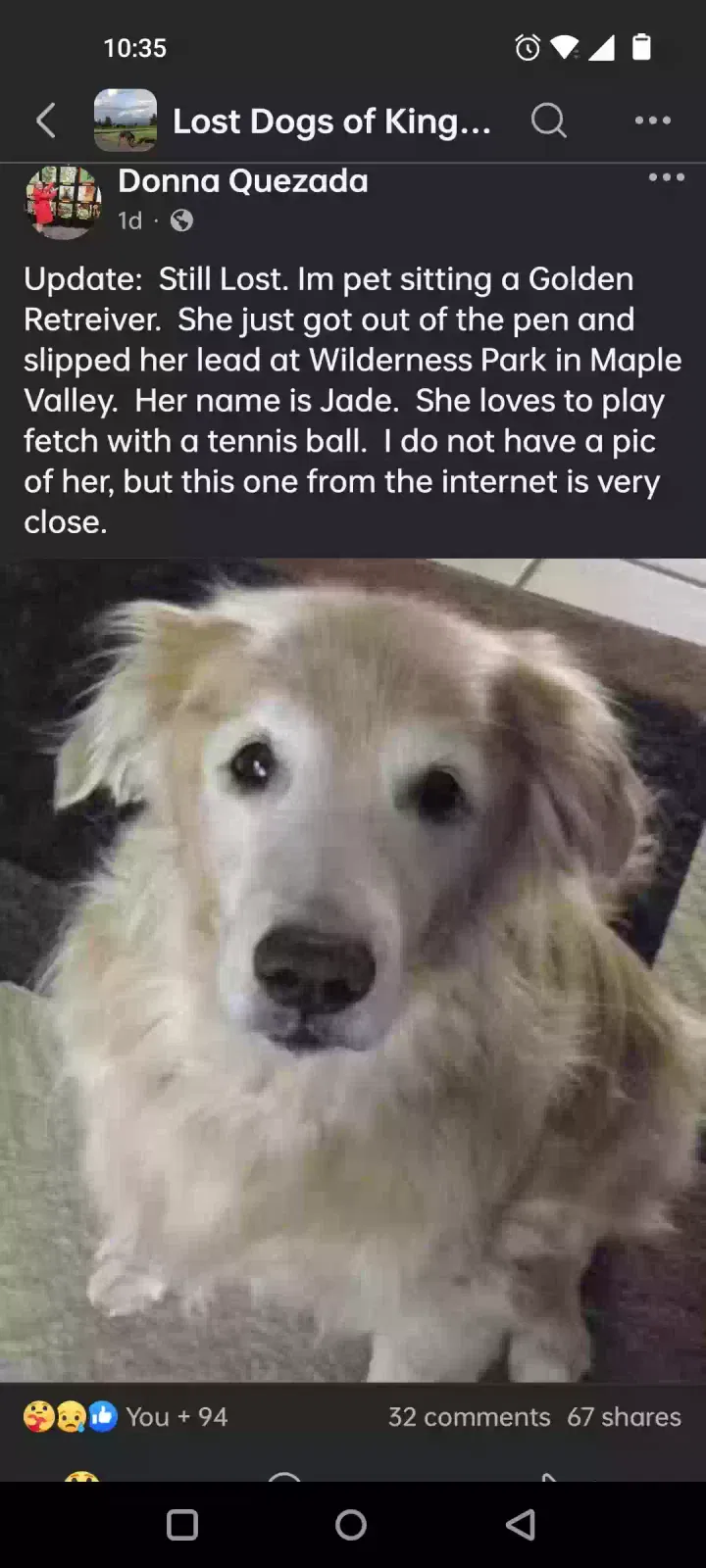 Lost dog in Maple Valley, WA, 98038