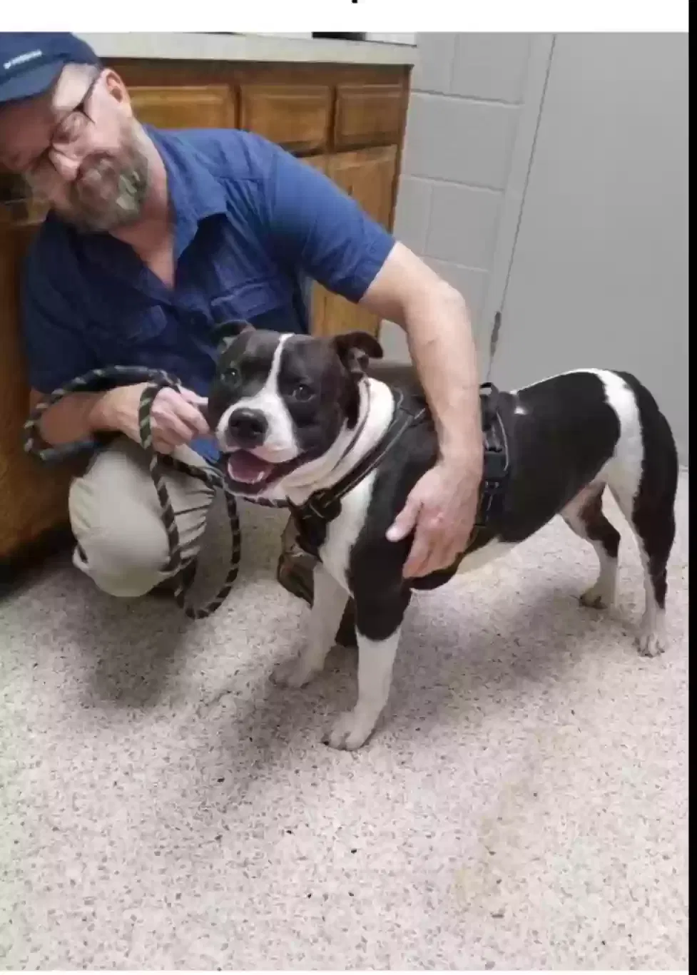 Lost dog in Inola, OK, 74036
