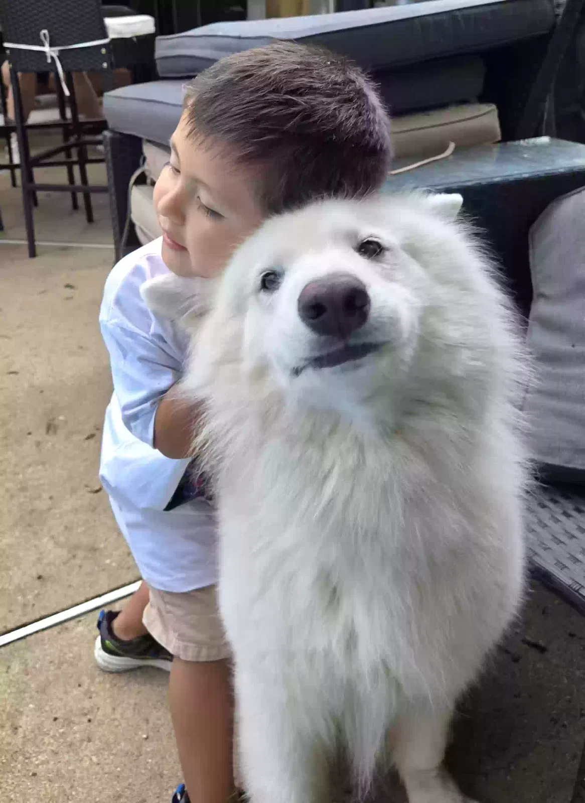 Lost dog in Yorktown, VA, 23693