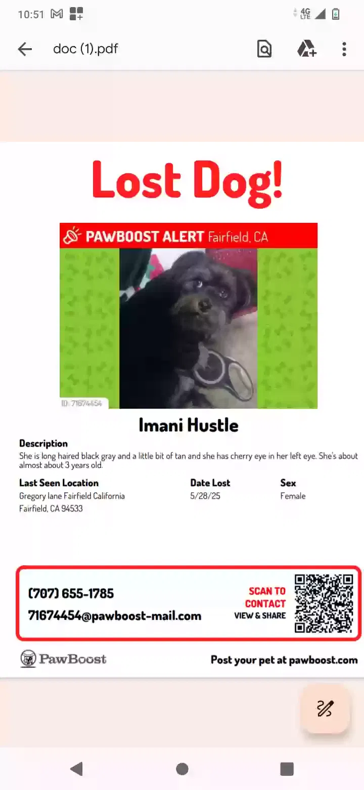 Lost dog in Fairfield, CA, 94533