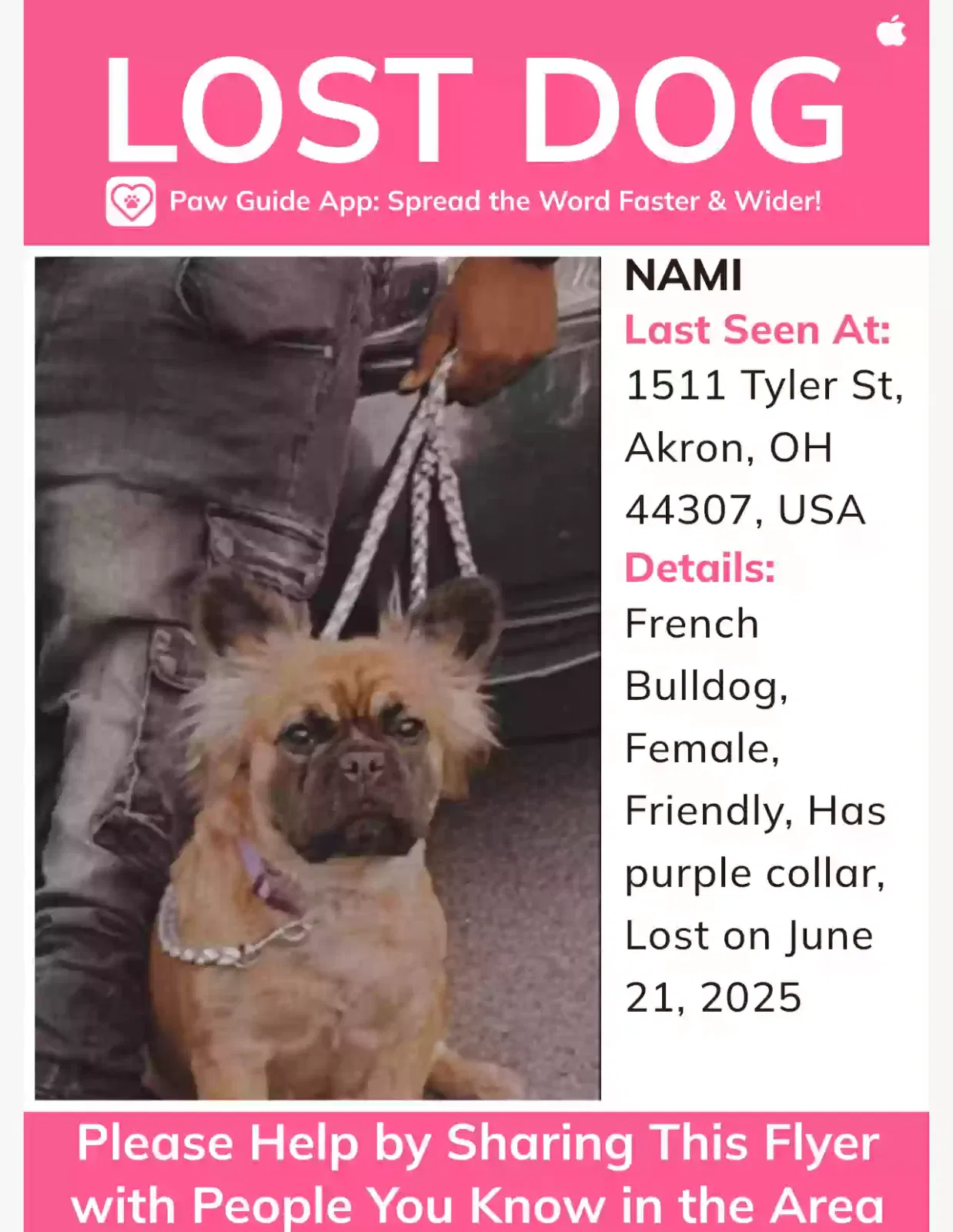 Lost dog in Akron, OH, 44307