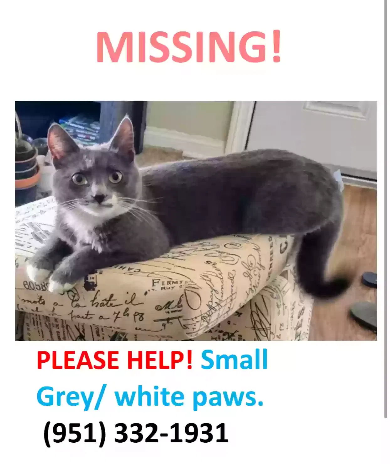 Lost cat in Murrieta, CA, 92562